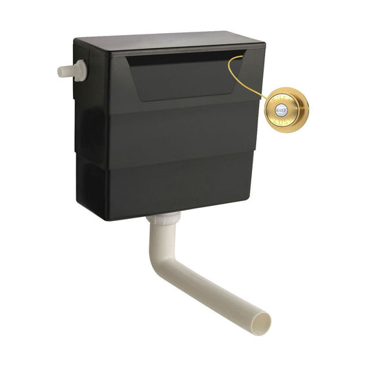 [BCC6T03] Balterley Universal Water Saving Dual Flush Side Inlet with Traditional Push Button - Brushed Brass/Black - Cutout