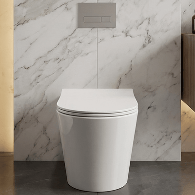 Wall Hung Toilets