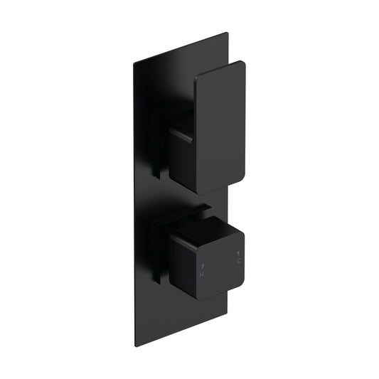 [BSEM4TW01] Empire Contemporary Concealed Square Twin Thermostatic Shower Valve, 215mm Solid Brass Construction - Matt Black by Balterley - Cutout