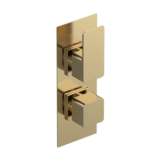 [BSEM8TW01] Empire Contemporary Square Concealed Twin Thermostatic Shower Valve, 215mm - Brushed Brass Bathroom Fixture by Balterley - Cutout