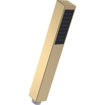 [BSHS810]