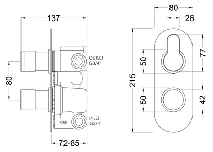 Arvan Twin Thermostatic Valve with Diverter